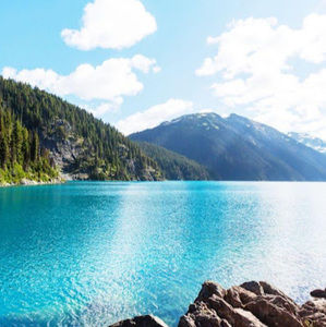 Meet your Posher, Annabelle